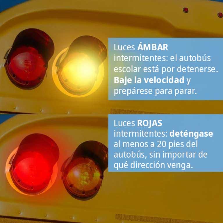 luces rojas intermitentes del autobús escolar